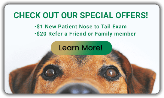 CHECK OUT OUR SPECIAL OFFERS! $1 New Patient Nose to Tail Exam & $20 Refer a Friend or Family member