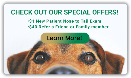 CHECK OUT OUR SPECIAL OFFERS! $1 New Patient Nose to Tail Exam & $40 Refer a Friend or Family member